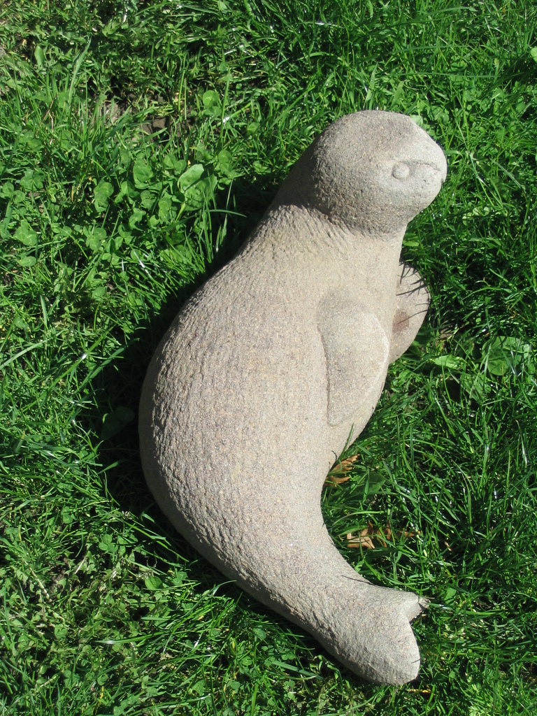 Seehund (1).JPG